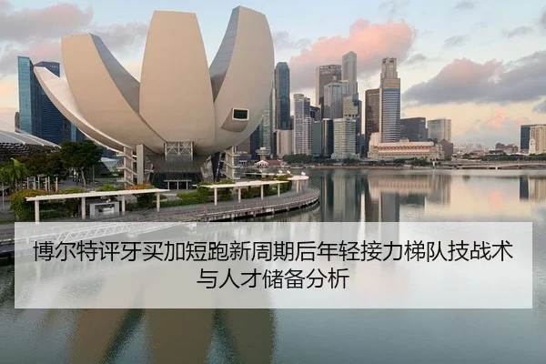bo-er-te-ping-ya-mai-jia-duan-pao-xin-zhou-qi-hou-nian-qing-jie-li-ti-dui-ji-zhan-shu-yu-ren-cai-chu-bei-fen-xi-2-278.jpg